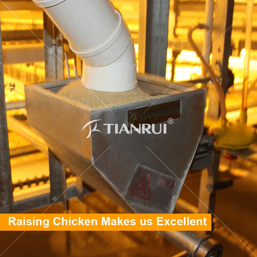 Standard Long Life-Span Animal Cages for Broilers with Feed Pan System