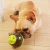 Import Stocked Dog Training Food Treat Dispensing Tumbler Pet Chew Toys from China