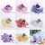 Import supply hexagon pet cosmetic body chunky glitter from China