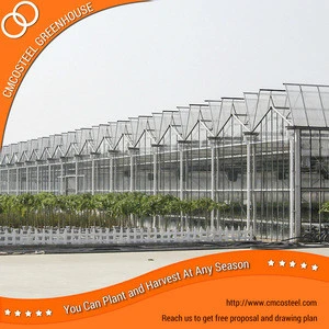 Temperature Maintaining Vegetable Growing Area, Vegetable Greenhouse