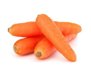 Thai Fresh Carrot Export
