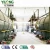 Import tire rubber recycling pyrolysis machine from China