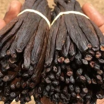 Top Grade Vanilla Beans