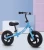 Import tube twisted bicycle spokes cycle for kids from China