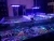 Import Ultra-thin White and Blue Fish Tank coral reef  150w LED Aquarium Lights with Extendable Brackets and hanging kit from China