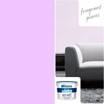Water Based Silicone Paint