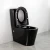 Import Watermark Black Toilet WELS Bathroom Sanitary Ware Toilet from China