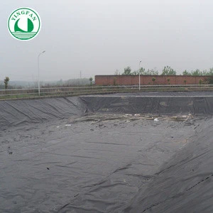 Waterproofing Polyethylene Membrane Price for Water conservancy project