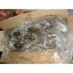 We are a leading Supplier, and Export of Cuttlefish from Pakistan. We deliver frozen and good quality seafood across the world