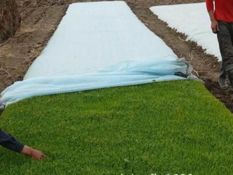 White 25 gsm pp nonwoven non woven fabric for agriculture cover