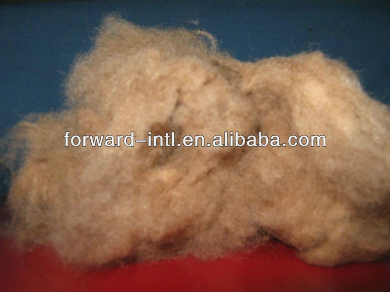 white camel wool fiber