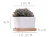 Import White Ceramic Office Home Balcony Garden Decorated Small Round Orchid Flower Bonsai Pots Planters With Bamboo Tray In Bulk from China