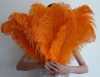 White Dyed Cheap Ostrich Feathers Wedding Feather Decorations Ostrich