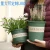Import wholesale 1/2/3/5/7 gallon flower plant nursery pot plastic garden pots for outdoor from China