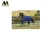 Import Wholesale Best Price Horse  RUG 300 Gram Filling Available in all Materiel from China