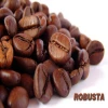Wholesale good price of organic robusta coffee beans