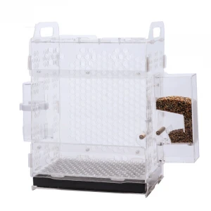 Wholesale high quality Acrylic transparent parrot ornamental bird cage indoor bird cage