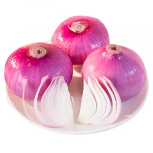 wholesale onion fresh nasik onion indian onion