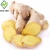 Import Wholesale organic fresh ginger price from China