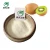 Import wholesale pure natural Food Grade Kiwi Fruit Extract  kiwi fruit juice powder from China