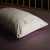 Import wholesale white silk pillow case from China