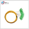 Widely used SC-APC 12 Core Fiber pigtail telecommunicatioin fiber optical pigtail