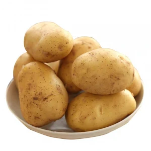 Yellow potatoes fresh  for sale China Bulk potato