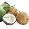 Young Fresh Coconut/Matured Fresh Coconuts from Vietnam