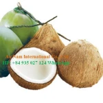 Young Fresh Coconut/Matured Fresh Coconuts from Vietnam
