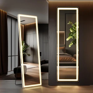 64"x 21" Full Length Mirror with LED Lights