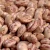 Import Light speckled kidney beans (LSKB) from Uzbekistan