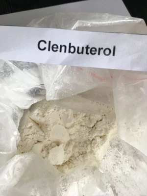 Pharmaceutical raw material 99% Clenbuterol powder / clenbuterol hydrochloride price