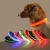 Import LED pet collar from China