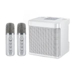 Microphone speaker 1