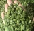 Import Recommend Dried Bulk Pumpkin Seeds Kernels AD Processed for Export from Germany