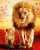 Import Color Lion Diamond Painting Kits 5D CANVAS SIZE: 50X50 CM FACTORY SELL from China