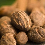 Premium Well-Dried Shea Nuts