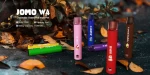 1600 Puffs Cost-Effective Disposable Vape W4
