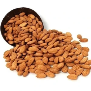 Premium Wholesale Almond Nuts – Raw, Roasted & Salted Supplier