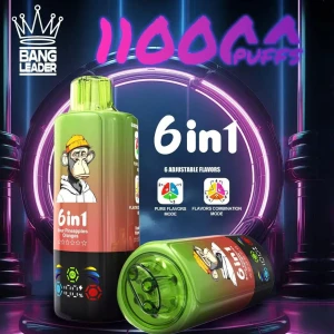 Buy 2025 New Vape 110k Puff 6-in-1 Flavors Wholesale E-cigarette 110000  Puffs Nicotine Pod Vaper Bangleader Puff Mod from PaphosVape, China |  Tradewheel.com