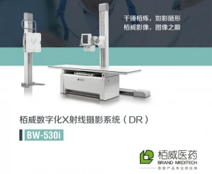 BW-530i DR system