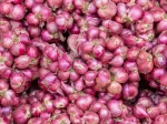 Indian small onion
