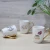 Import gold handle ceramic coffee mug,ceramic coffee mug with gold handle,ceramic mug with gold decal printing from China
