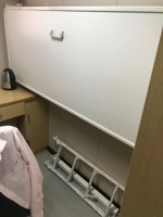 wall mounted pullman bed