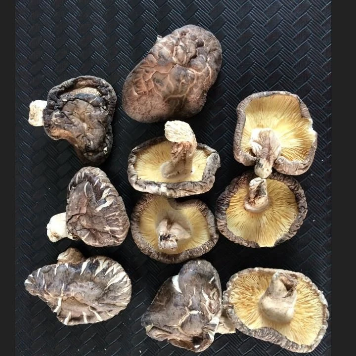 Buy 1kg Fresh Shiitake Mushrooms,shiitake Mushrooms,frozen Shiitake