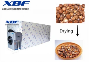 Hot Air Energy Type and mushrooms Vegetable Dryer Machine