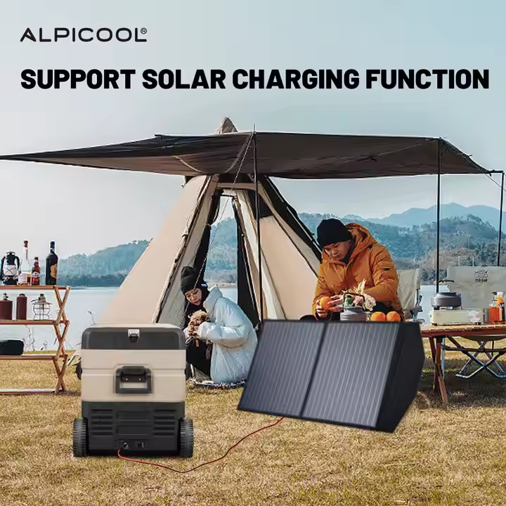 Buy Taw55 Alpicool 55l Portable Dc 12v/24v Led Control Panel Car Fridge ...
