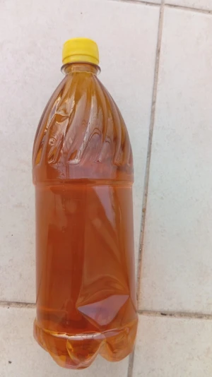 Sunflower Oil (Crude & RBD) – Bulk Supply, Flexitank & Bottled | Ukraine Origin