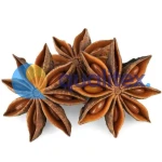 Autumn Star Aniseed Best Price Vietnam Factory