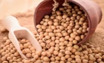 NON GMO Soybean
